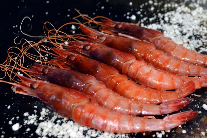 Gamba Roja de Garrucha